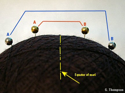 relative width at equator